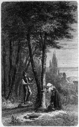 Recolation of manna on round-leaved frenes. Engraving in 