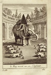 Royal elephants, from Voyage du Siam des Peres Jesuites by Guy Tachard, 1688