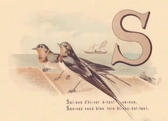 S: Winter season having come, Save yourself far away swallows!