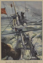 Search for the missing French ship Vienne