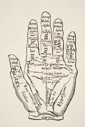 Specimen of the Left Hand with the Lines and Their Horoscopic Denominations, from 
