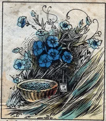 Textile, linen. Flax flower (blue), stem composed of straw and filaments to make linen yarn. Seed uses in medicine and from which oil is extracted for industry. Engraving. Epinal imaging late 19th century.