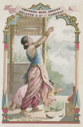 The Festival of Pongal