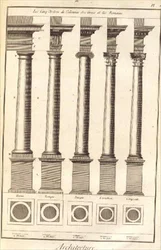 The Five Orders of Architecture shown through the Means of Columns, Plate I from `Dictionnaire d