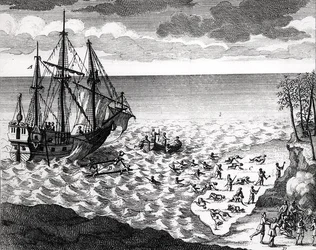 The Pelican Sinking near the Coast, from Histoire de l