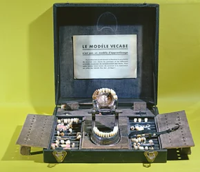 The Vecabe Model, for making crowns and bridges