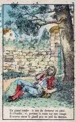 The acorn and the pumpkin. Fables by Jean de La Fontaine