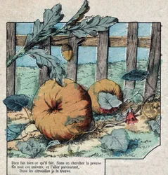 The acorn and the pumpkin. Fables by Jean de La Fontaine (1621-95). Epinal imaging from the end of the 19th century.
