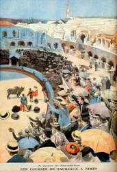 The Bull Races in Nimes, Reaffirmation of the Prohibition by Grammont Law, to Abuse or Kill Animals