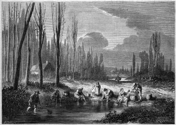 The leech fishing in the vicinity of Versailles