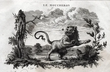 The Midges. Fable of Aesop (written by Guillaume Montfort and engraved by Beauble in 1801)