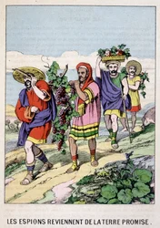 The spies return from the promised land - in 