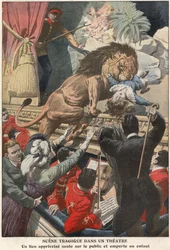 Tragic scene in the theatre - lion eats child