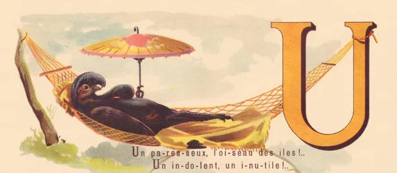 U: A lazy, the bird of the islands! A indolent, a useless one!