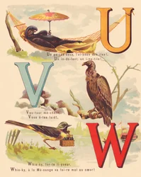 U V W: Black emu, vulture, wagtail, whiskey