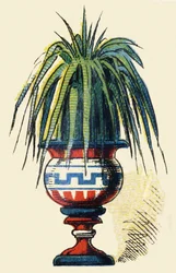 Unknown Image