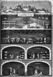 Viticulture: view of the champagne cellars in the basements of the old castle of the archeveques of Reims, Marne (51)