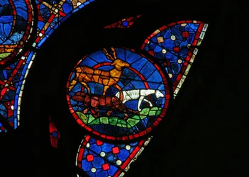 Window w115 depicting the Creation of the animals