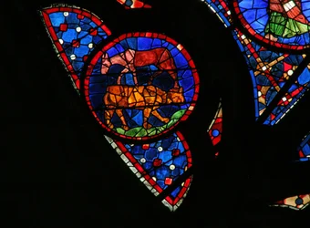 Window w115 depicting the Creation of the animals