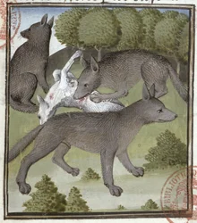 Wolves, from the Livre de la Chasse by Gaston Phebus