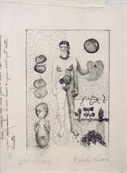 Frida and the Miscarriage
