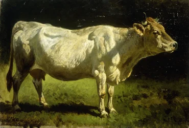 Cow in a Landscape