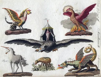 Mythical Creatures