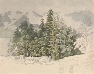 Alpine Landscape