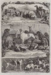 The Exhibition of Sporting and other Dogs at the Horse Repository, Holborn, Prize Animals