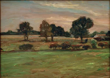 Moorlandscape