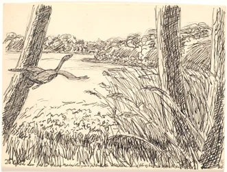 Then It Suddenly Lifted Its Wings...