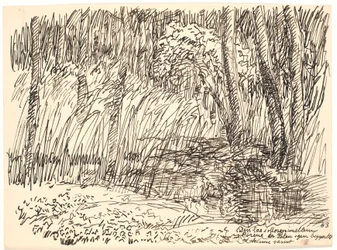 It Lay in the Marsh...