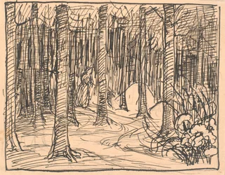 Deep in the Forest the Roads Crossed...