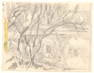 A Lake with Four Swans