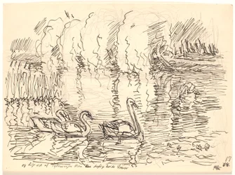 And Straight Out of the Thicket Came Three Lovely White Swans