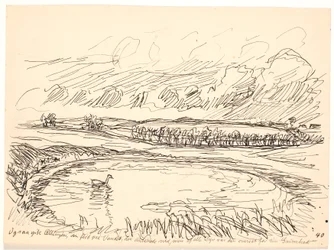 And then the Duckling...