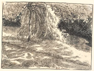 Study for the Weeping Willow in: There You Have Your Eyes, Said Death...