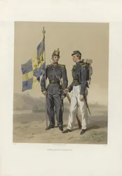 Illustration from the Book The Swedish and Norwegian Armies, and Their Current Uniforms by Dardel, Fritz von and Published by Bonnier (se, 1863)