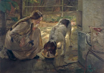 Feeding the Dogs