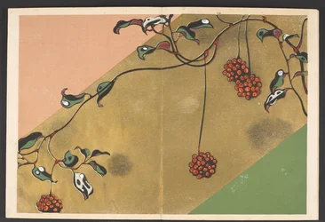 Patterns of plants and flowers from life