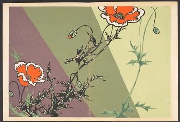 Patterns of Plants and Flowers from Life