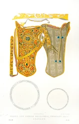 Antique saddlery - plate from 