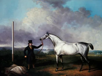 Gentleman holding a grey racehorse on a course