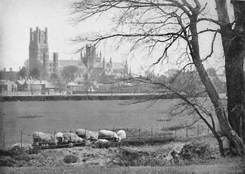 Ely Cathedral