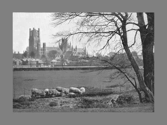 Ely Cathedral, c1900