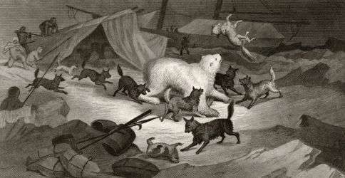 Bear Hunt, engraved by J.C. McRea, from 