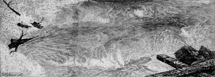 The Rapids Above the Falls