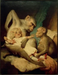 Anthropological Lesson