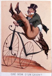Lithography by Darlinghe after Gosthiaux