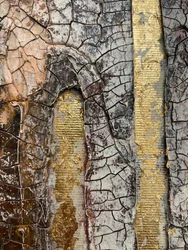 Golden Cracked Surface